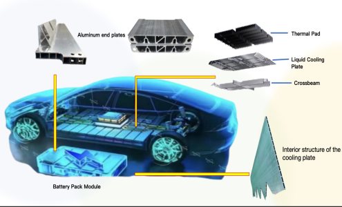 NEV application NEV application